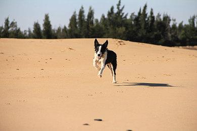 国庆假期玩《光环：无限》 多人模式测试将对全体玩家开放